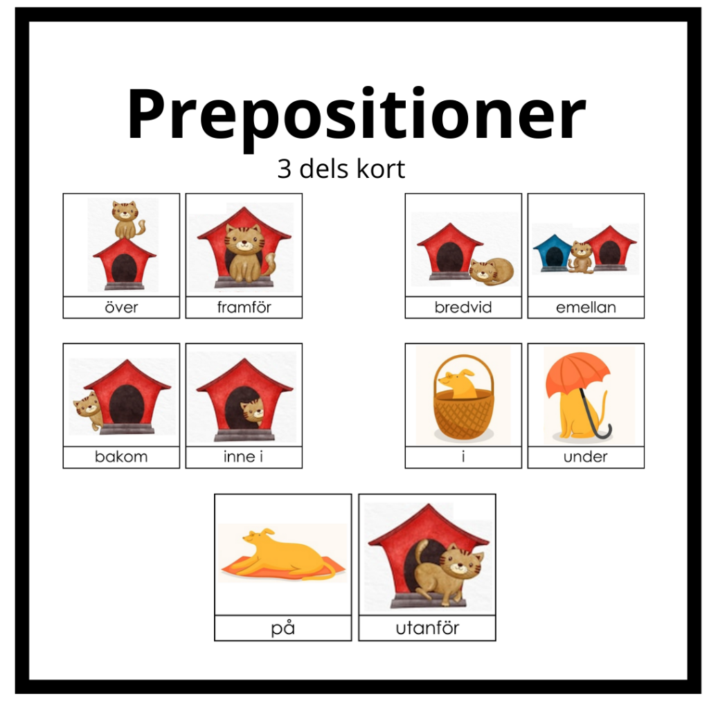 Prepositioner 3 del