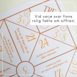 Vik en loppa – mutiplikation - bild 3