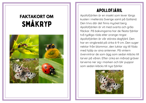 Faktakort småkryp
