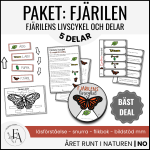 PAKET: Fjärilens livscykel & delar - bild 1