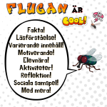 Flugan är cool! - bild 1