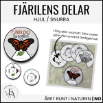 Fjärilens livscykel: hjul / snurra - bild 1