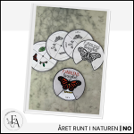 Fjärilens livscykel: hjul / snurra - bild 3