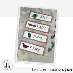 Fjärilens livscykel: Bildstöd - bild 2