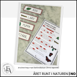 Fjärilens livscykel: Bildstöd - bild 3