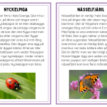 Faktakort småkryp - bild 3