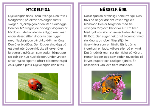 Faktakort småkryp