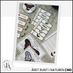 PAKET: Fjärilens livscykel & delar - bild 7