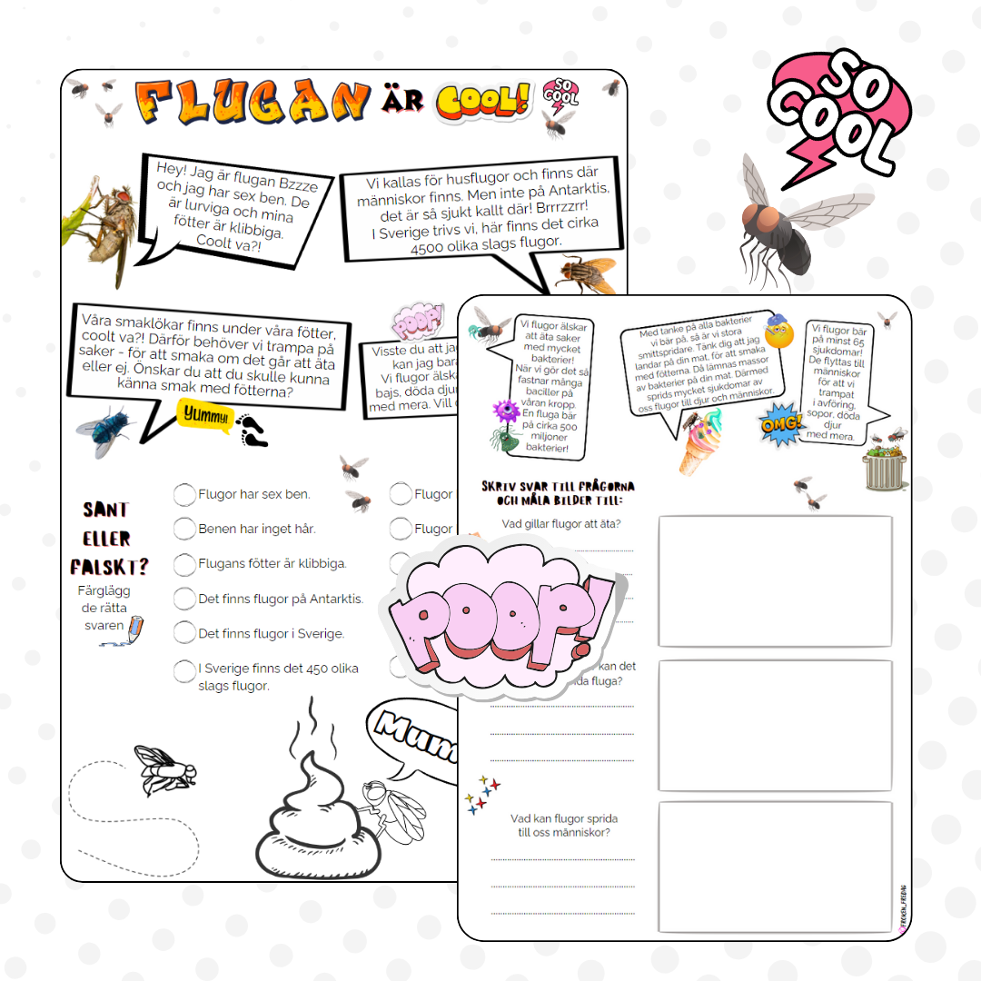 Flugan är cool!