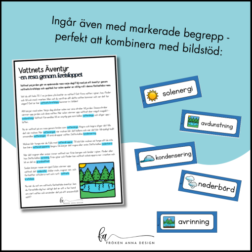 Vattnets Kretslopp: Läsförståelse