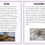 Faktakort småkryp - bild 4