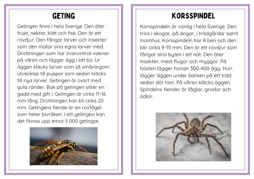 Faktakort småkryp