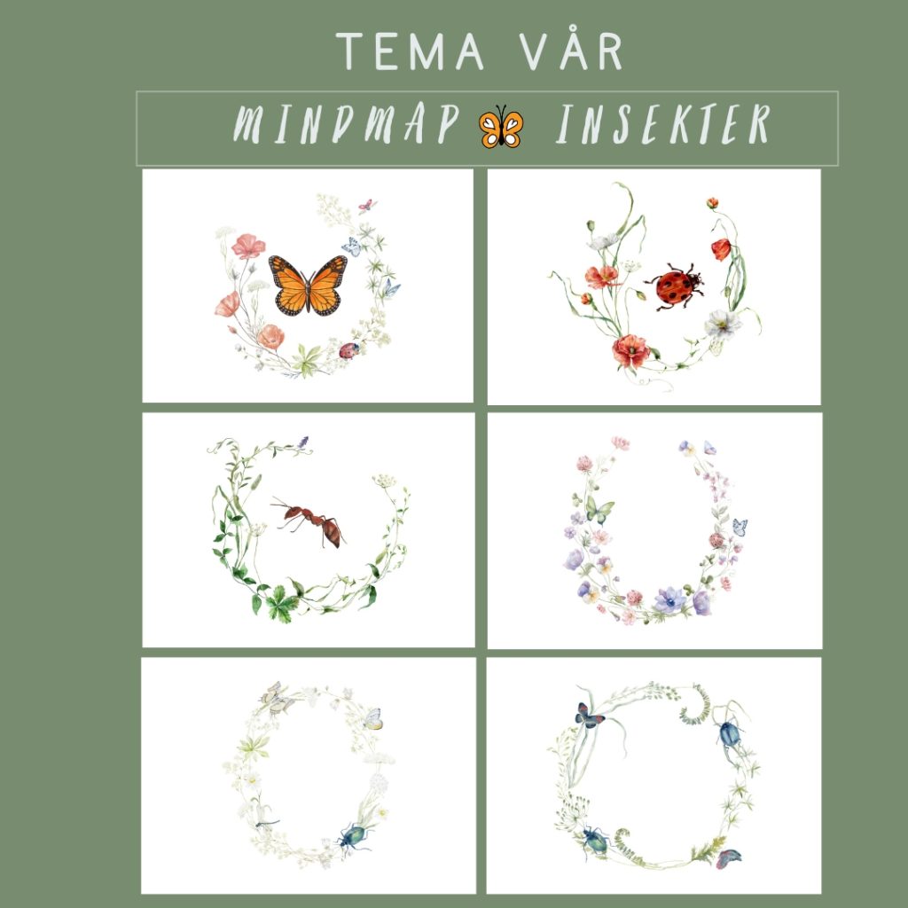 Mindmap insekter fjäril nyckelpiga myra