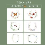 Mindmap insekter fjäril nyckelpiga myra - bild 1