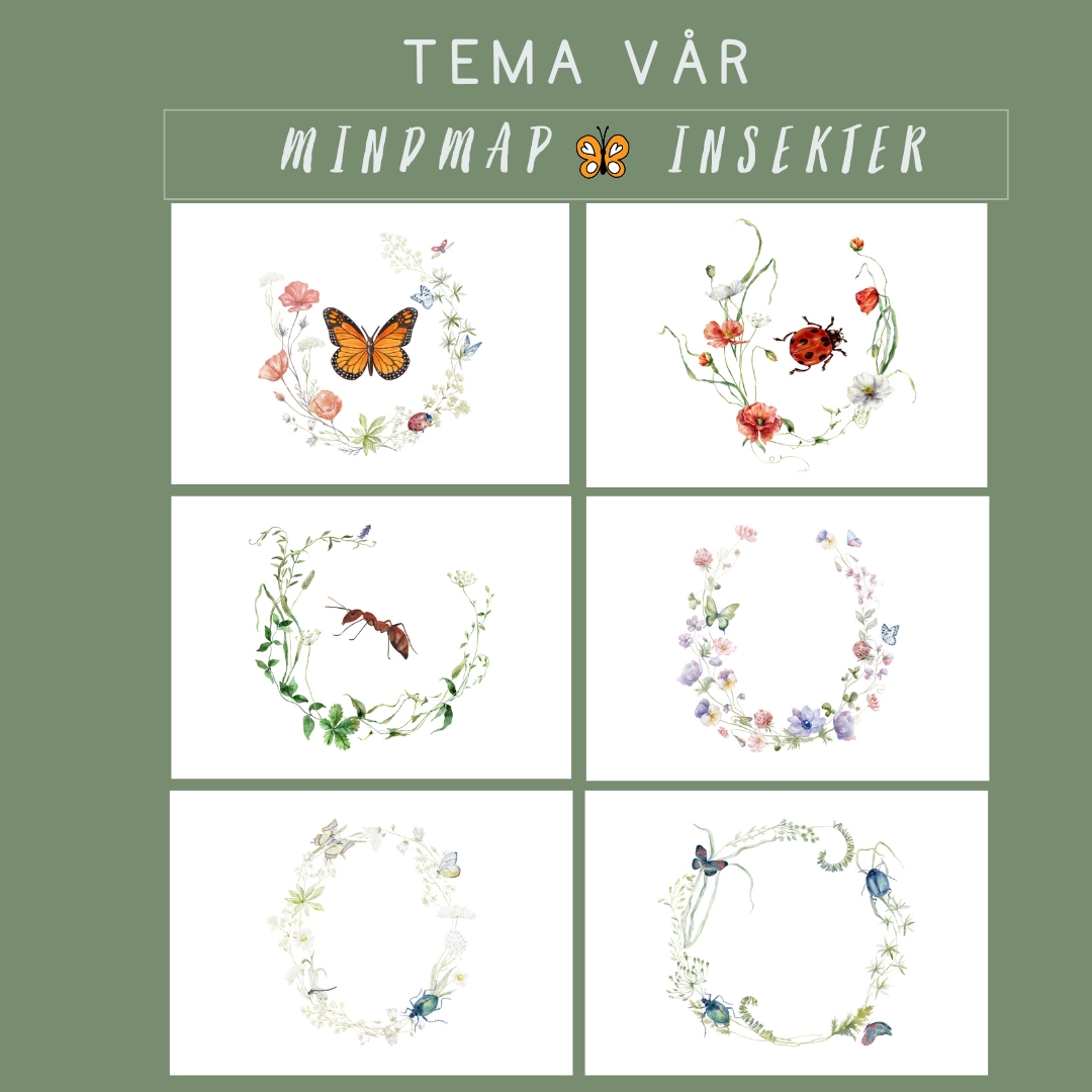 Mindmap insekter fjäril nyckelpiga myra