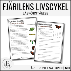 PAKET: Fjärilens livscykel & delar