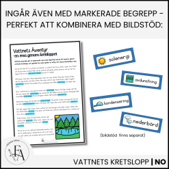 Vattnets Kretslopp: Läsförståelse