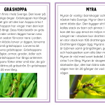 Faktakort småkryp - bild 5