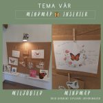 Mindmap insekter fjäril nyckelpiga myra - bild 2