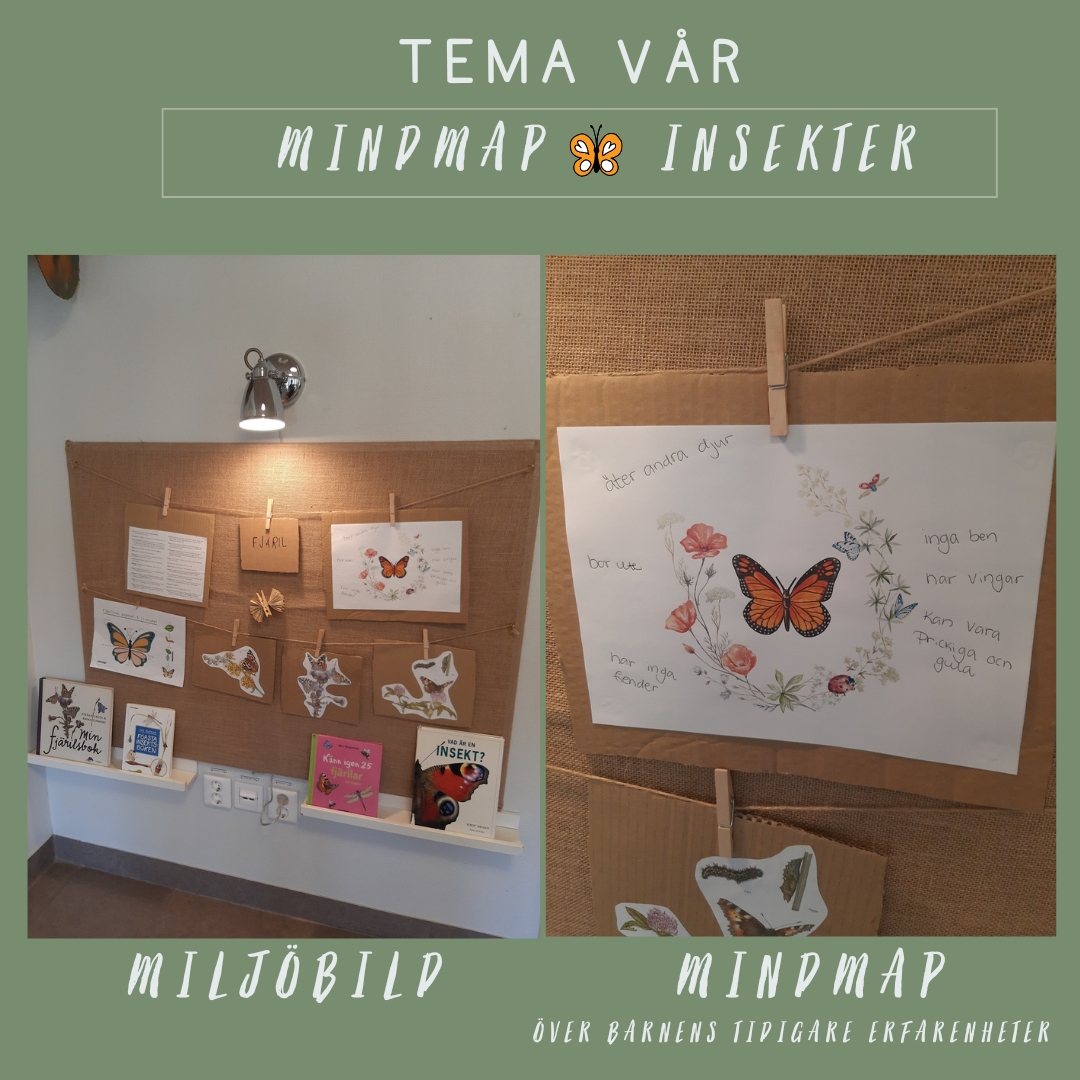 Mindmap insekter fjäril nyckelpiga myra