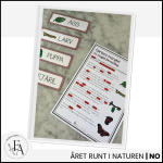 Fjärilens livscykel: Läsförståelse - bild 4