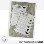 Fjärilens livscykel: Läsförståelse - bild 3