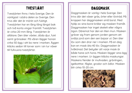 Faktakort småkryp