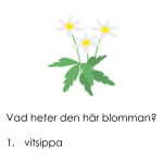 Tipspromenadsfrågor 1 - bild 2