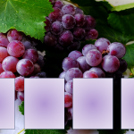 Färgsortera frukter och bär - bild 3