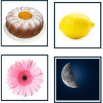 Para ihop bokstav och bild – arabiska - bild 5