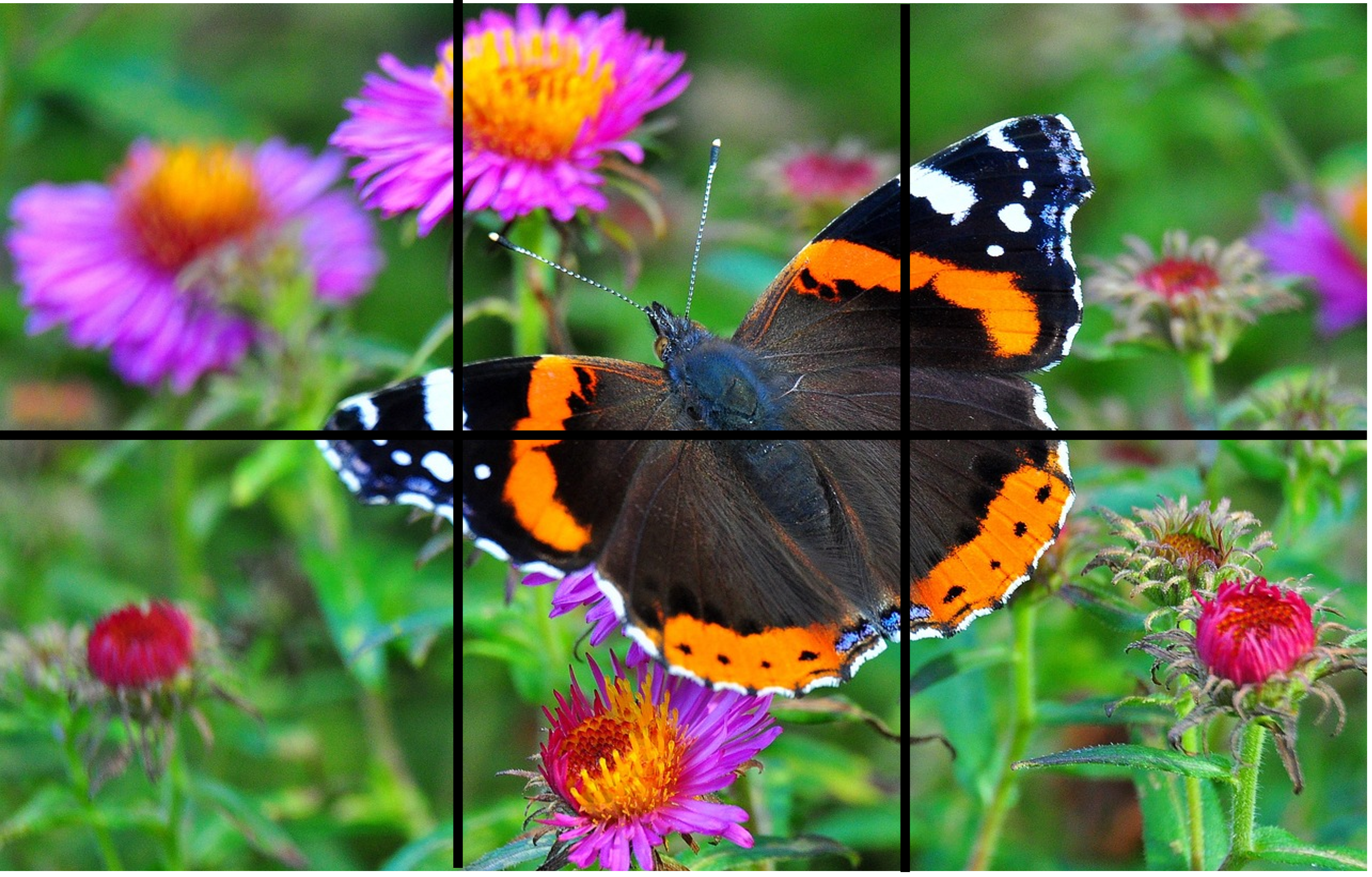 Pussel 6 bitar - sommar