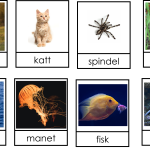 Djursortering – luft, land eller vatten - bild 4