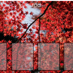 Färgsortering utan tema - bild 2