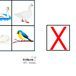 Vilken bild ska bort? fåglar - bild 2