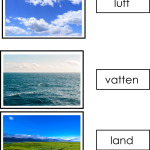 Djursortering kort – luft, land eller vatten - bild 5