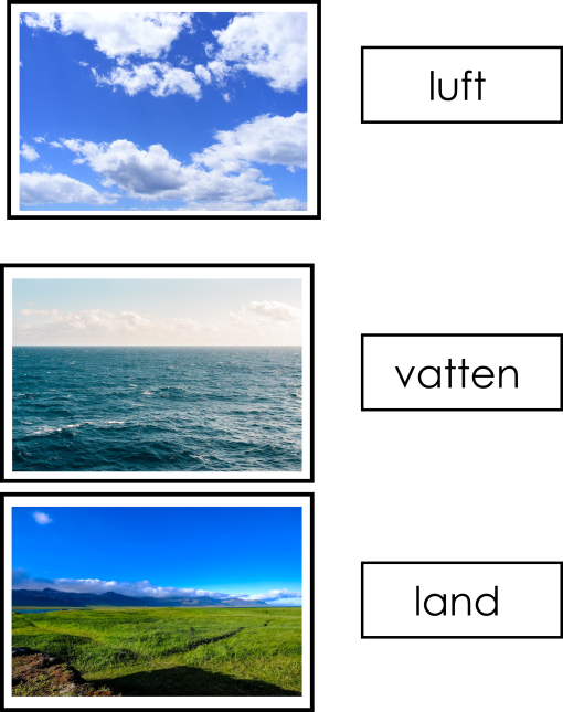 Djursortering kort - luft, land eller vatten