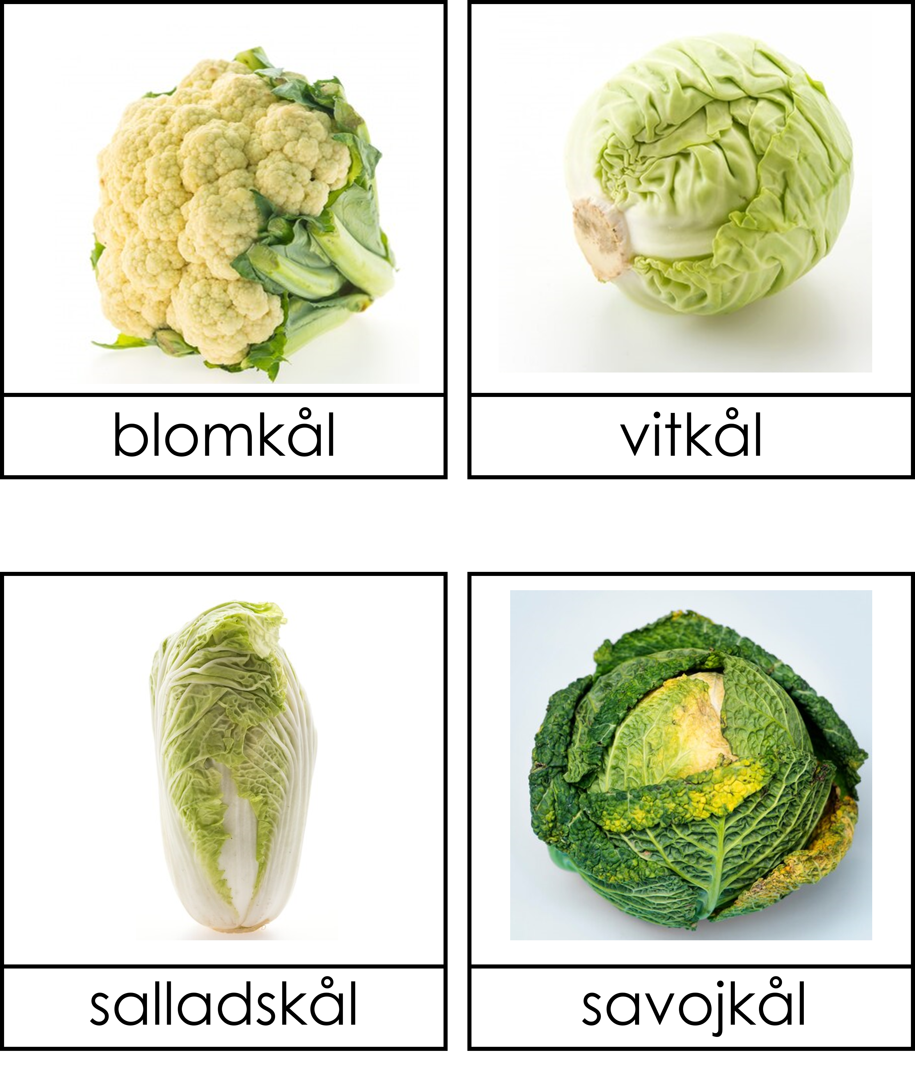 Grönsaker 3 delskort