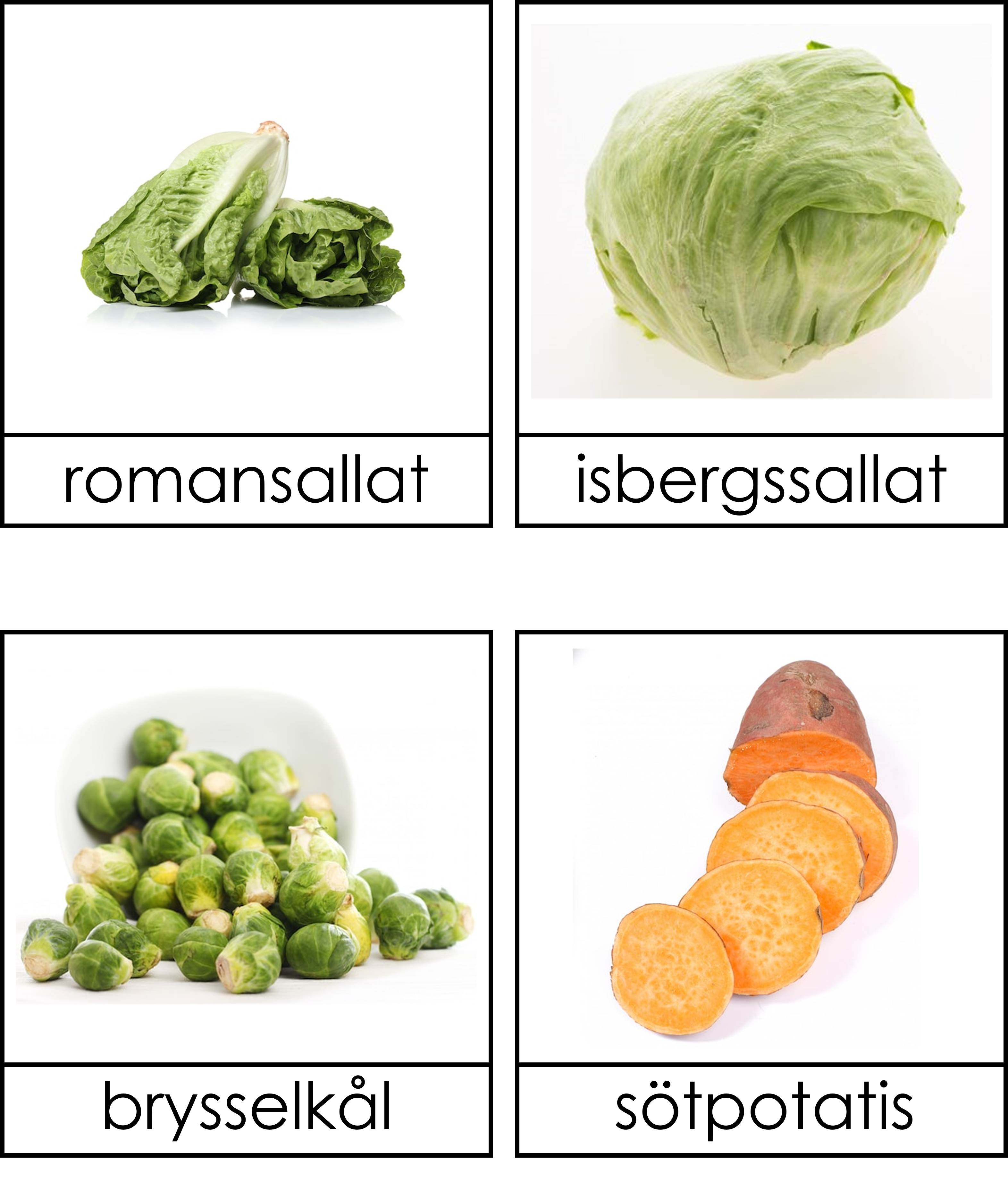 Grönsaker 3 delskort