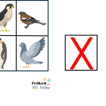 Vilken bild ska bort? fåglar - bild 3