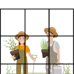 Tre i rad – vår - bild 4