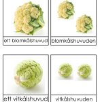 Grönsaker singularis och pluralis 3 delskort - bild 4