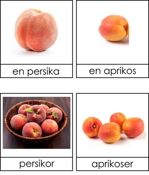 Frukter singularis och pluralis 3 dels kort