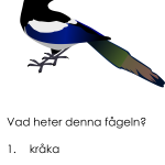 Tipspromenadsfrågor 1 - bild 5