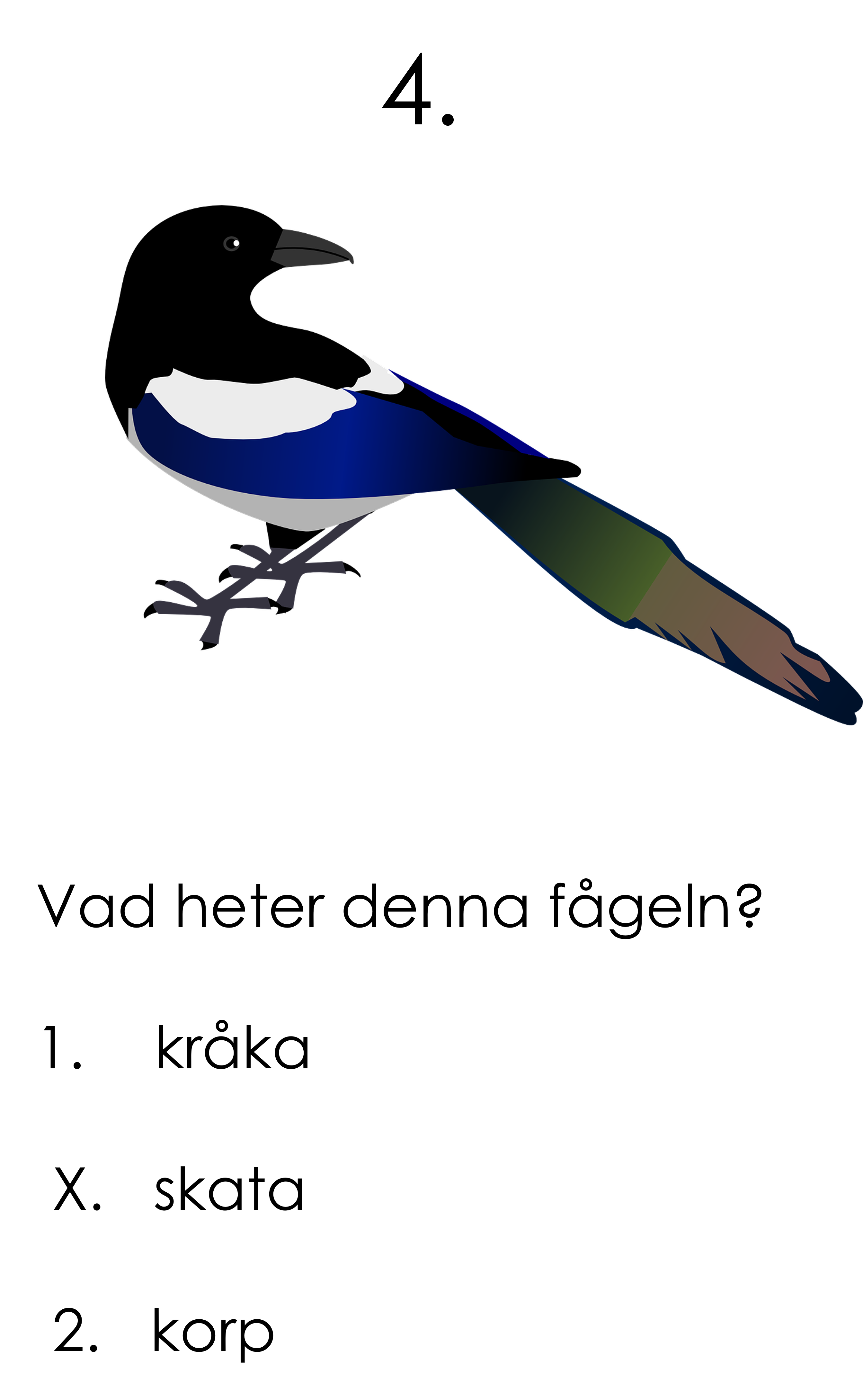 Tipspromenadsfrågor 1