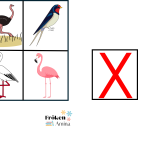 Vilken bild ska bort? fåglar - bild 5