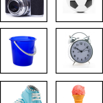 Sortera levande och inte levande - bild 2