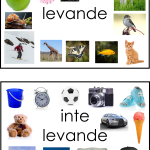 Sortera levande och inte levande - bild 3