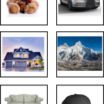 Sortera levande och inte levande - bild 6