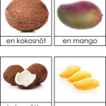 Frukter singularis och pluralis 3 dels kort - bild 4