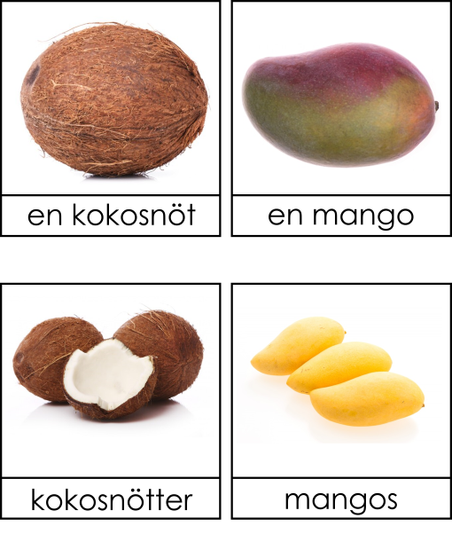 Frukter singularis och pluralis 3 dels kort